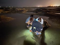 -日照灯塔风景区