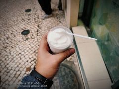-洪馨椰子