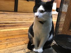 -猫的天空之城概念书店(杭州南宋御街店)