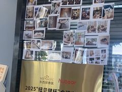 -御宝贝·A梦猫科宠物医院(国际猫友好医院)