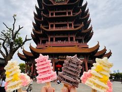 -黄鹤楼公园(黄鹤楼)