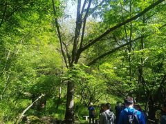 -牛背梁国家森林公园