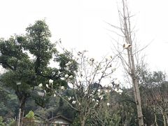 景点-南昆山十字水生态度假村