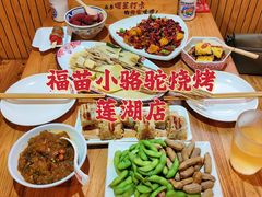-福苗小骆驼烧烤(莲湖路店)