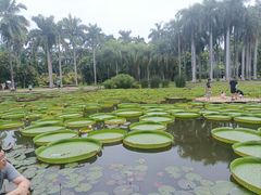 -中国科学院西双版纳热带植物园