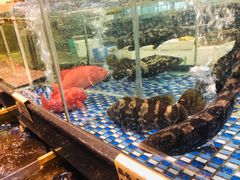 -大门水乡·顺德菜