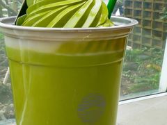 -雪绿茶博物馆