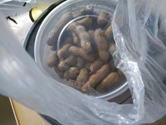 -老谭虾王蟹皇·龙虾·烧烤(蝴蝶湾店)