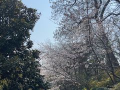 -沙市市中山公园