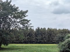 -良渚古城遗址公园
