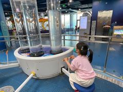 -中国宋庆龄青少年科技文化交流中心