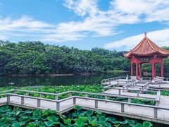 -广州莲花山旅游区