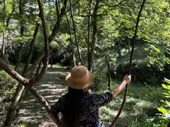 -山王坪喀斯特国家生态公园