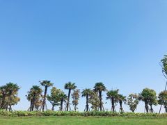 -春花秋色城市公园