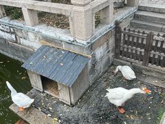 -苏州文庙(姑苏区)
