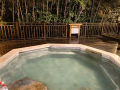 -天目湖涵田半山温泉