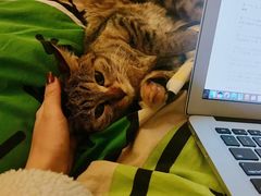 -超级猩猩健身·团课(益田假日店)