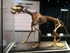-周口店北京人遗址公园