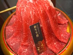 -牛New寿喜烧(金鹰世界店)