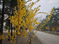 -北京大学(昌平校区)