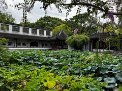 -上海醉白池公园