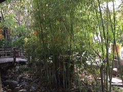 -西安国际创新人才交流中心•药浴温泉