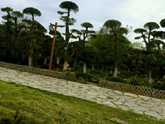 -武汉紫薇都市田园