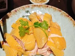 -永記粤菜·五指毛桃花雕鸡煲(九亭店)