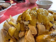 白切鸡-群乐饭店(滨安路店)