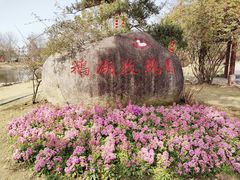 -鹅湖玫瑰文化园