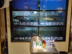 -爱妻鱼•老体北重庆水煮鱼•川菜(白云路店)