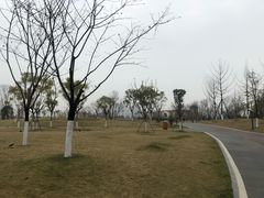 -府河摄影公园