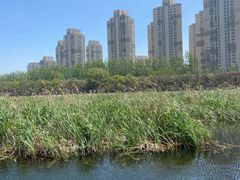 -前关湿地公园