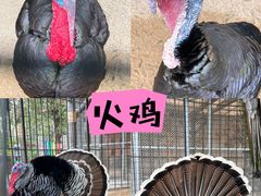 -珠海海泉湾神秘岛亲子乐园