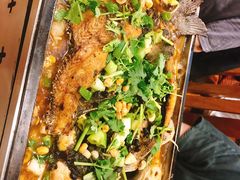 -成都美食巫山烤鱼(三里河路店)