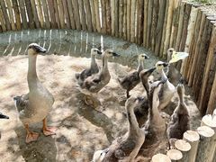 -水上乐园·欢乐世界