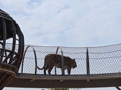 -无锡动物园·太湖欢乐园