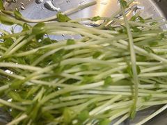 -手选潮汕鲜牛肉火锅(二七广场店)