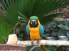 -南宫五洲植物乐园