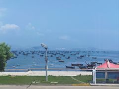 -春妮海味饭店·海景餐厅·海菜包子·大连海鲜