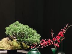 -晶采轩(万象天地店)