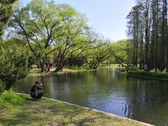 -共青国家森林公园-售票处