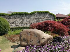 -嘉定紫藤园