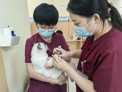 -美联众合动物医院·24h京西诊疗中心