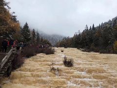 -黄龙山原始森林景区