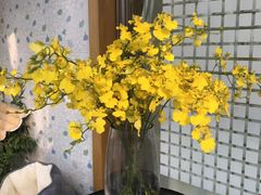 -金陵之星大酒店·中餐厅