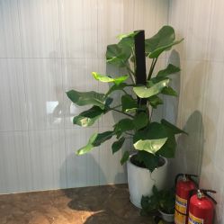 -丽美妍医疗美容·皮秒·立体分层抗衰