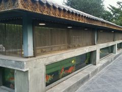 -那家小馆•北京菜•烤鸭(香山店)
