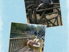 -兰陵国家农业公园