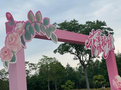 -同里国家湿地公园